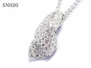SN020