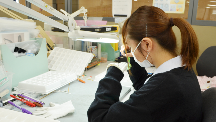 パソコンを用いて検品する様子