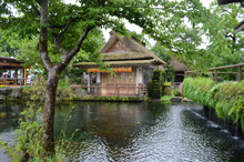忍野八海見学